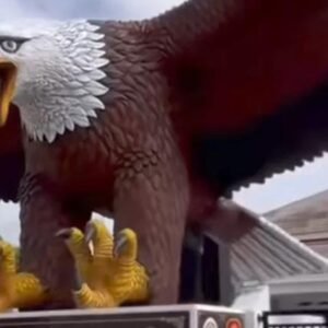 Spektakuler Patung Rajawali Raksasa Senilai Rp.180 Juta di Desa Cipaat Indramayu Viral, Terinspirasi Kesenian Lokal