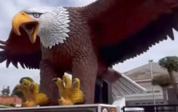 Spektakuler Patung Rajawali Raksasa Rp.180 juta Indramayu