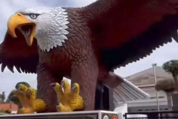 Spektakuler Patung Rajawali Raksasa Senilai Rp.180 Juta di Desa Cipaat Indramayu Viral, Terinspirasi Kesenian Lokal