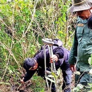 Macan Tutul Jawa Ditemukan Mati Terjerat di Gunung Lancang, Garut