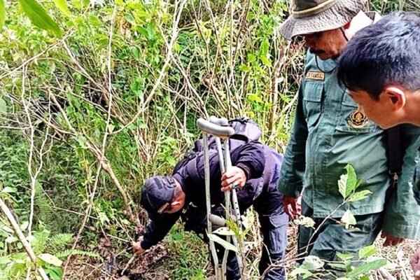Macan Tutul Jawa Ditemukan Mati Terjerat di Gunung Lancang, Garut