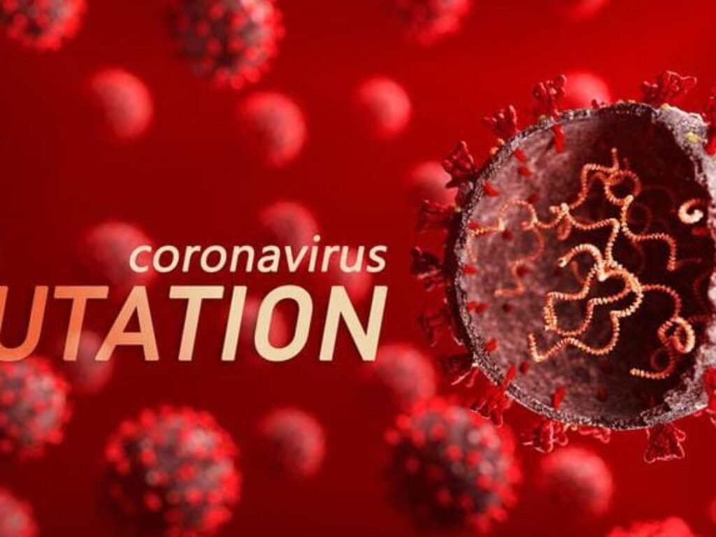 Waspada…! Varian Baru COVID-19 Picu Lonjakan Kasus Global, Indonesia Dinilai Masih Terkendali