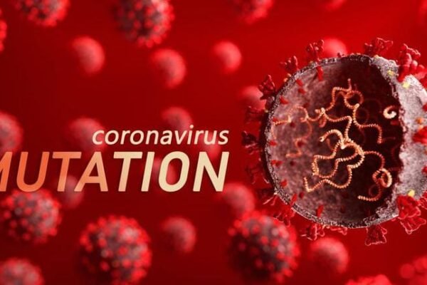 Waspada…! Varian Baru COVID-19 Picu Lonjakan Kasus Global, Indonesia Dinilai Masih Terkendali