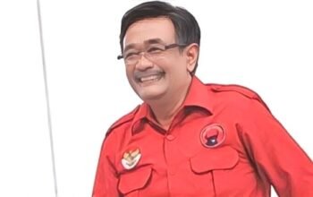 Djarot ketua dpp pdip