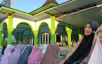 Dok istimewa