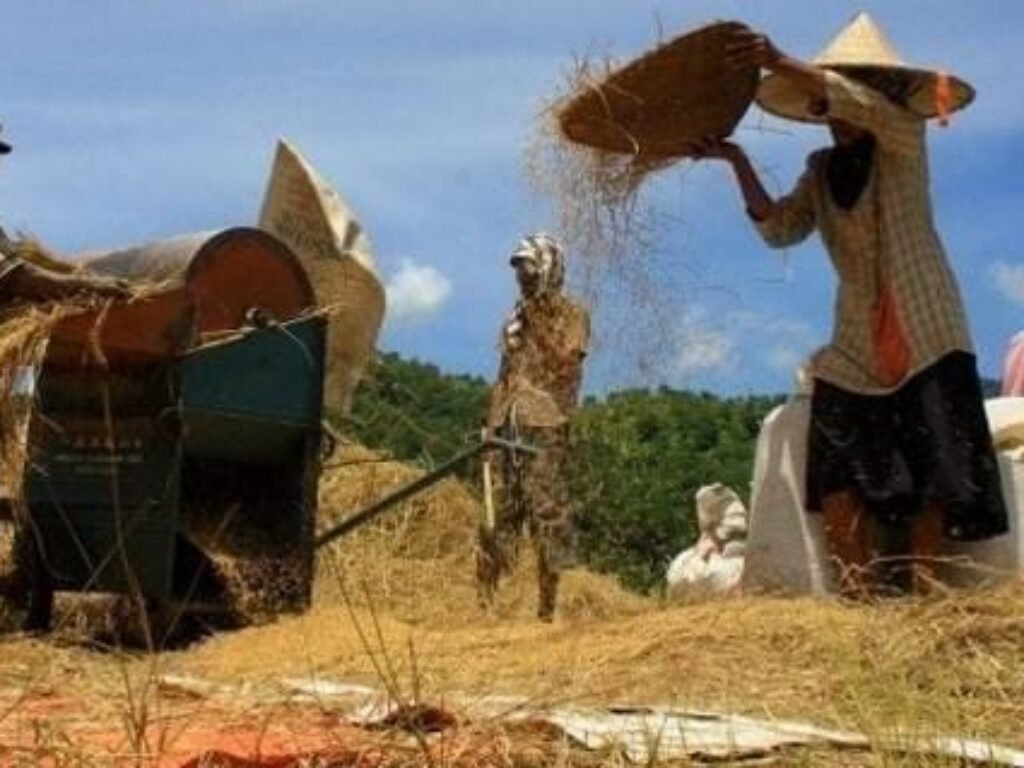 Garut Targetkan Produksi 816 Ribu Ton Gabah pada 2025, Cuaca Jadi Andalan