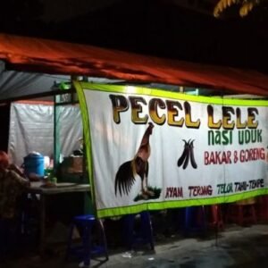 “Pasal Karet” UU Tipikor: Jerat Hukum Bisa Menggulung Penjual Pecel Lele