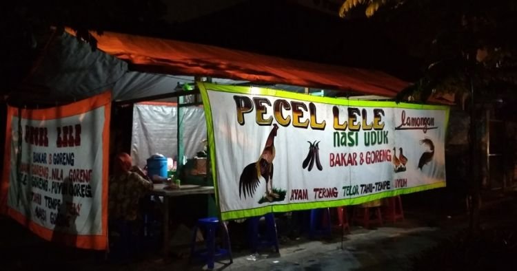 Pecel lele
