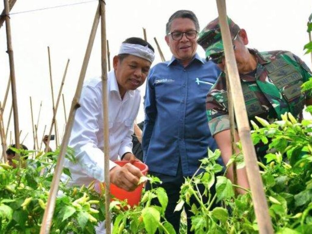 Ketika Tentara Turun Cangkul dan Petani Baru Lulus Magang, Sawah Tumbuh, Harapan Subur