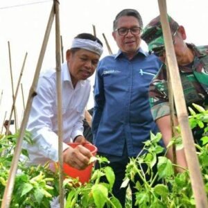 Ketika Tentara Turun Cangkul dan Petani Baru Lulus Magang, Sawah Tumbuh, Harapan Subur