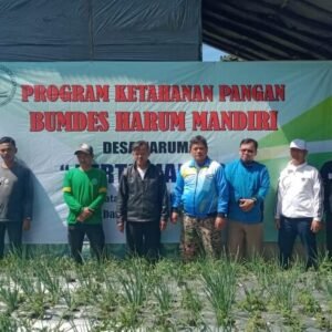 Bumdes haruman leles