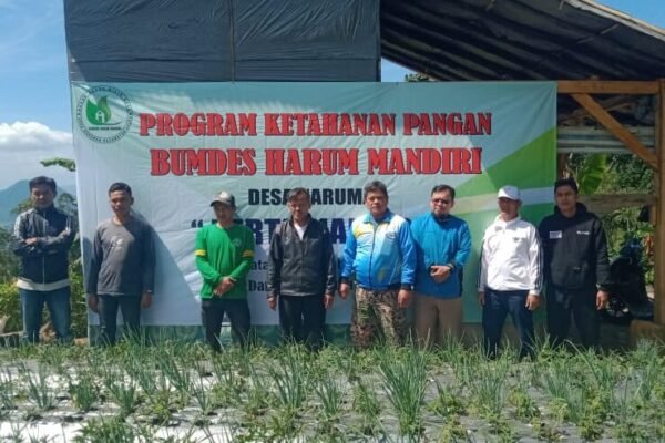 Bumdes Harum Mandiri Prioritaskan Umbi Cilembu dan Daun Bawang, Baru 40% Dana Terserap