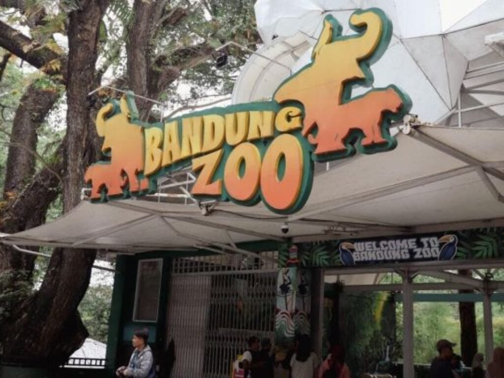 Kebun Binatang Bandung Ricuh: Konflik Manajemen Picu Penutupan, Satwa Jadi Korban