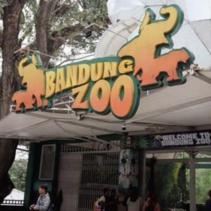 Kebun Binatang Bandung Ricuh: Konflik Manajemen Picu Penutupan, Satwa Jadi Korban