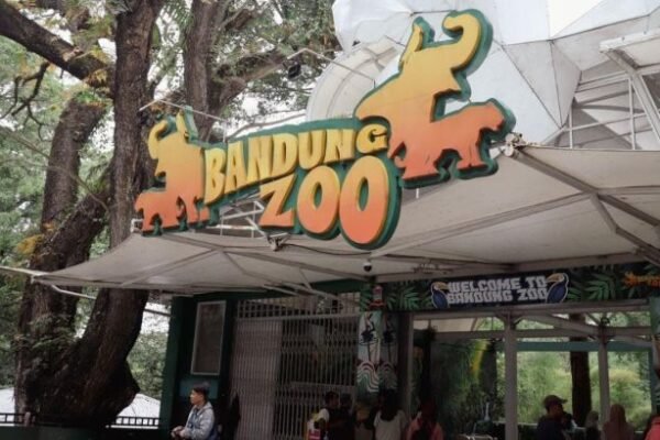 Kebun Binatang Bandung Ricuh: Konflik Manajemen Picu Penutupan, Satwa Jadi Korban