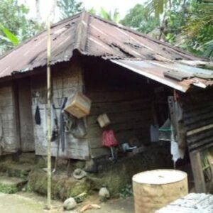 Imah Alus, Rakyat Lusuh: Ketika Rumah Panggung Menari di Atas Statistik Kemiskinan