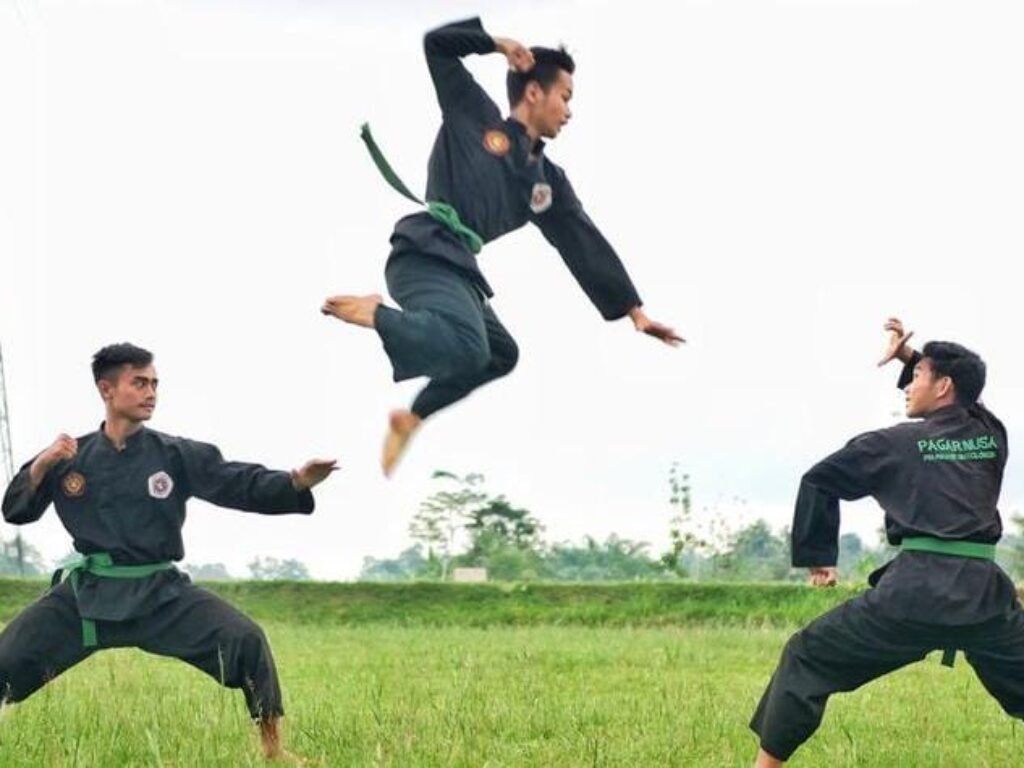 Silat Jadi Duta Besar, Negara Masih Duduk Silang