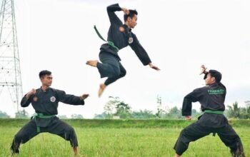 Afe1421f 683d 4ce4 b790 b8c63db8987d