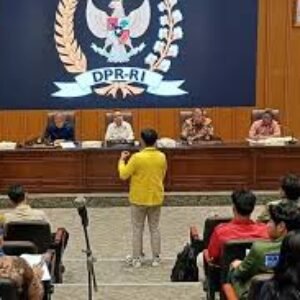 17+8 = 25 Alasan DPR Buat Ngeless