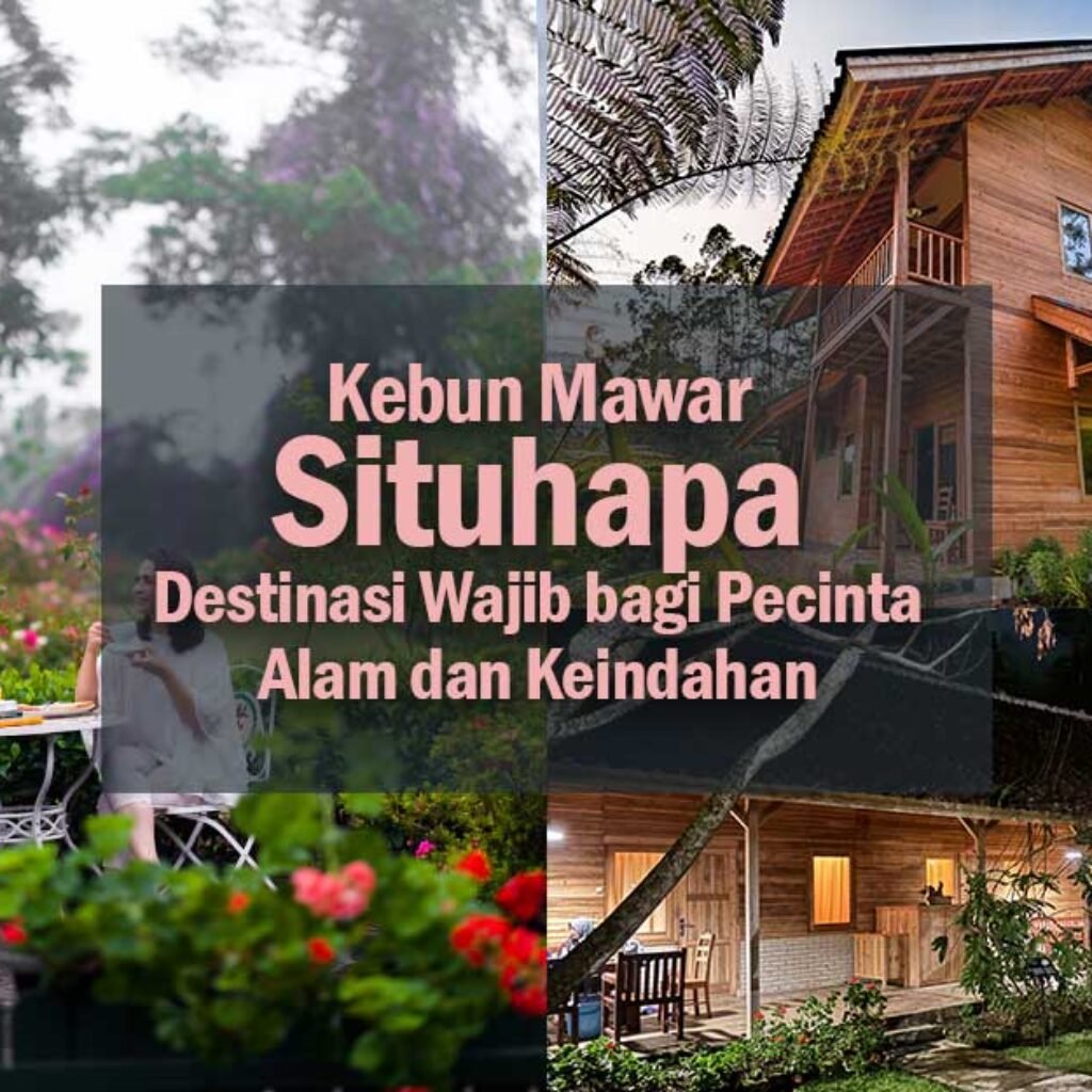 Kebun Mawar Situhapa, Surga Fotografi di Garut yang Wajib Dikunjungi