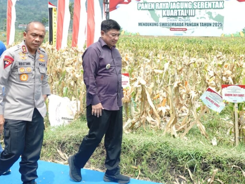 Panen 140 Ton Jagung di Garut, Solar Dryer Dome Dijanjikan, Harga Rakyat Ditahan Napas