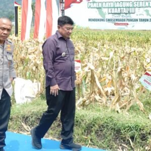 Panen raya jagung di garut