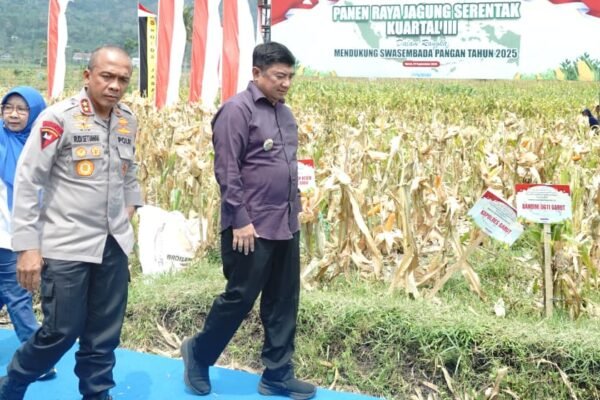 Panen 140 Ton Jagung di Garut, Solar Dryer Dome Dijanjikan, Harga Rakyat Ditahan Napas