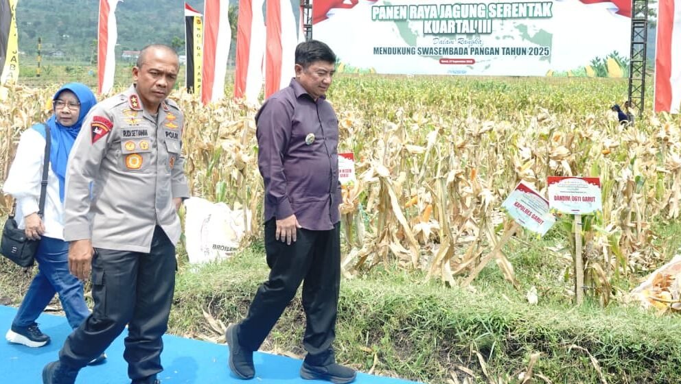Panen raya jagung di garut