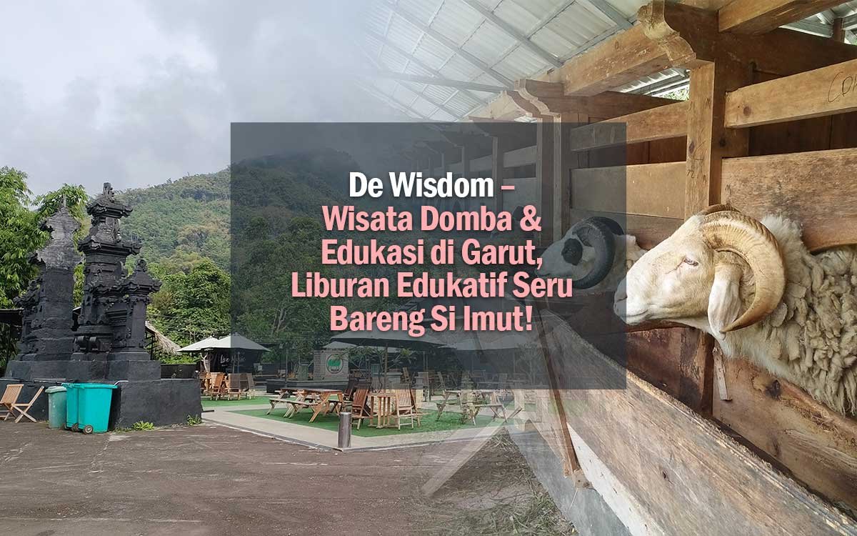 🐑 de wisdom – wisata domba & edukasi di garut, liburan edukatif seru bareng si imut