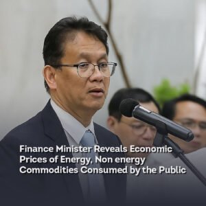 Finance minister reveals economic prices of energy, non energy commodities consumed by the public
