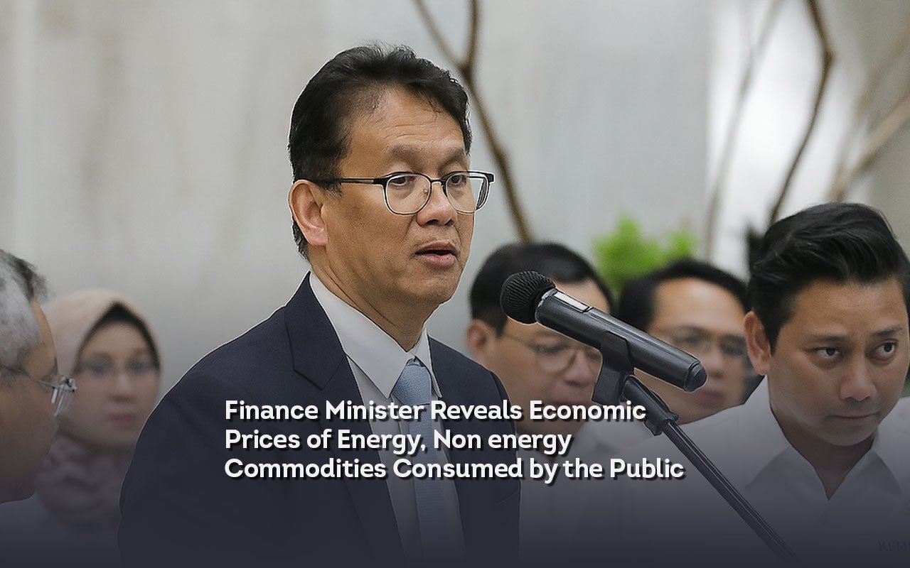Finance minister reveals economic prices of energy, non energy commodities consumed by the public