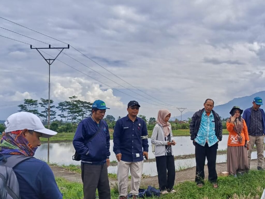 BPS Garut Gelar Evaluasi dan Praktik Ubinan Padi di Desa Situ Jaya, Karangpawitan