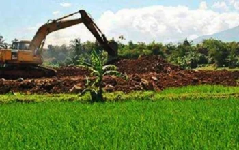 Gambar ilustrasi LP2B