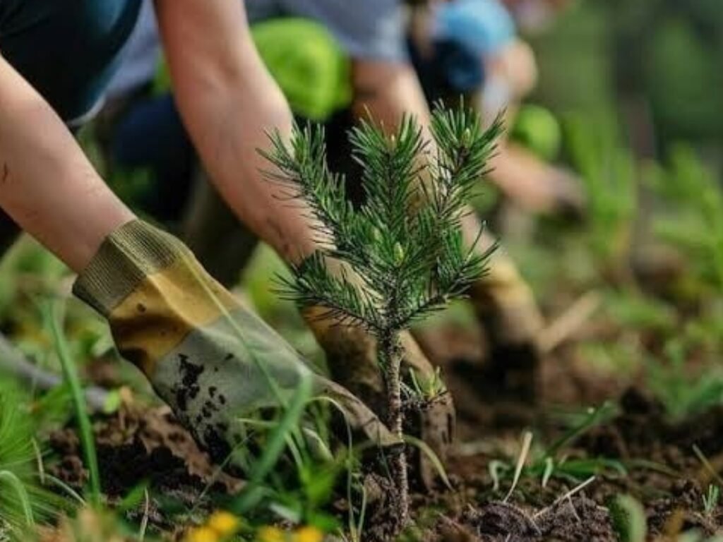 Semangat Hijau yang Mulai Bergerak dari Lereng Sukamanah