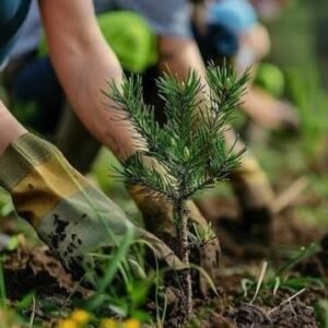 Semangat Hijau yang Mulai Bergerak dari Lereng Sukamanah