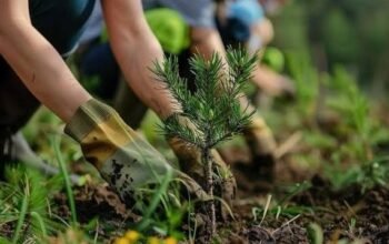 Gerakan Menanam Pohon