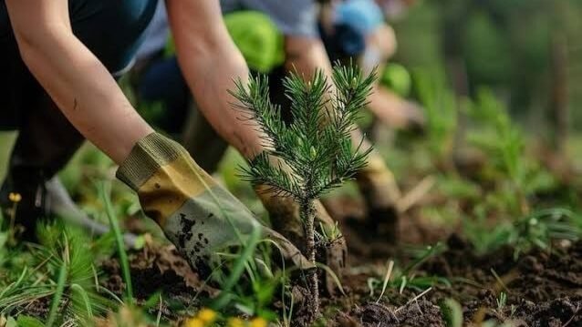 Gerakan Menanam Pohon