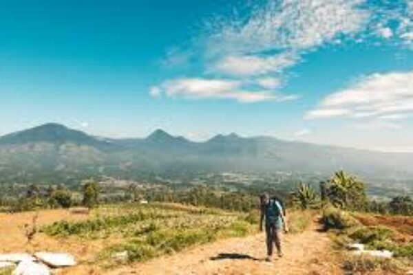 Janji Kades Menguap, Konflik Eks HGU PT Condong Meletup: Siapa Bermain di Balik Redistribusi Tanah?