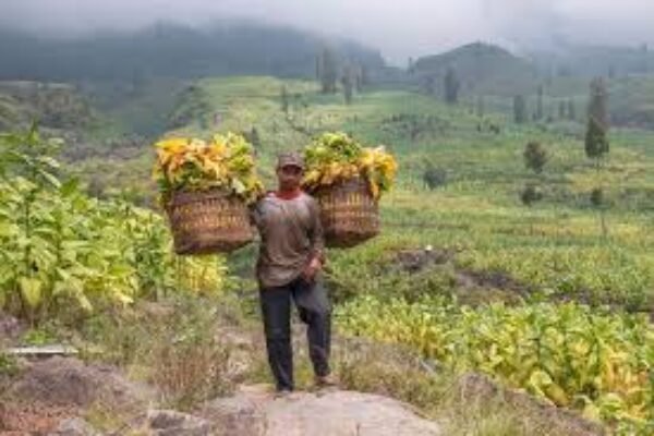 SK Bupati Turun, Petani Naik Darah: Redistribusi Tanah Kok Kaya Main Monopoli?