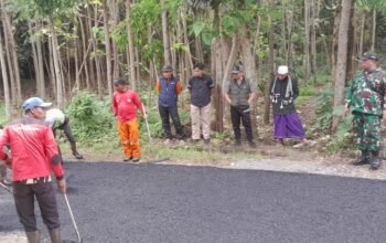 Jalan Desa Karangmulya