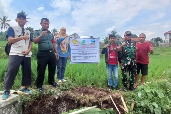 UPT Turun Gunung, Sawah Kersamanah Siap Panen Lebih Cepat dari Penangan Korupsi Di Garut