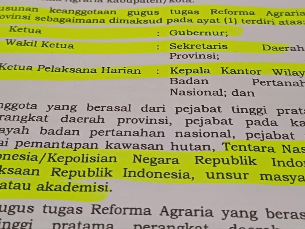 WhatsApp Image 2025 11 18 at 20.36.38