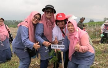 Hari Ibu di Garut Tak Cuma Bagi Bunga, Para Ibu Naik Gunung Ajak Alam Berdamai