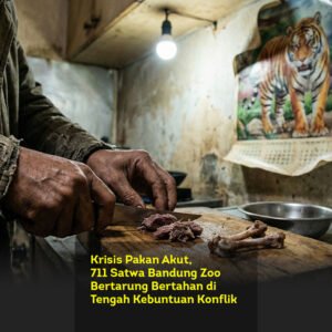 Krisis Pakan Akut, 711 Satwa Bandung Zoo Bertarung Bertahan di Tengah Kebuntuan Konflik Pengelolaan
