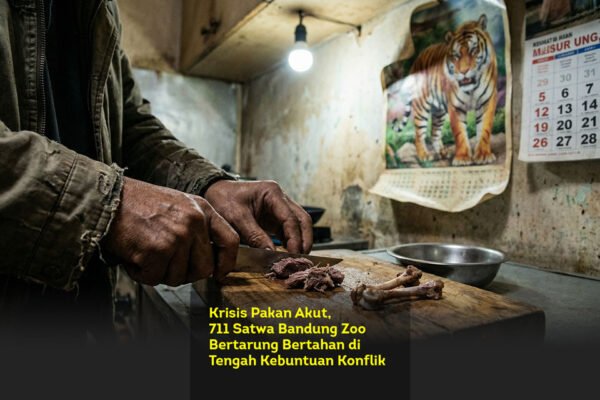 Krisis Pakan Akut, 711 Satwa Bandung Zoo Bertarung Bertahan di Tengah Kebuntuan Konflik Pengelolaan locusonline featured image