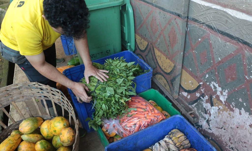Petugas sedang memilah pakan satwa dari Kemenhut