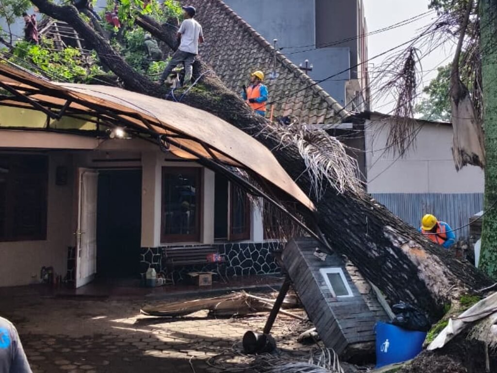 Pohon Tua Tumbang, Pemkot Bandung Tetap Tegak: Warga Cihapit Siapkan Somasi