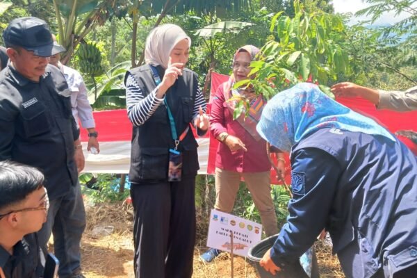 Gunung Kembali Ditanami, Garut Masih Nunggu yang Ngerusak Ditangkap