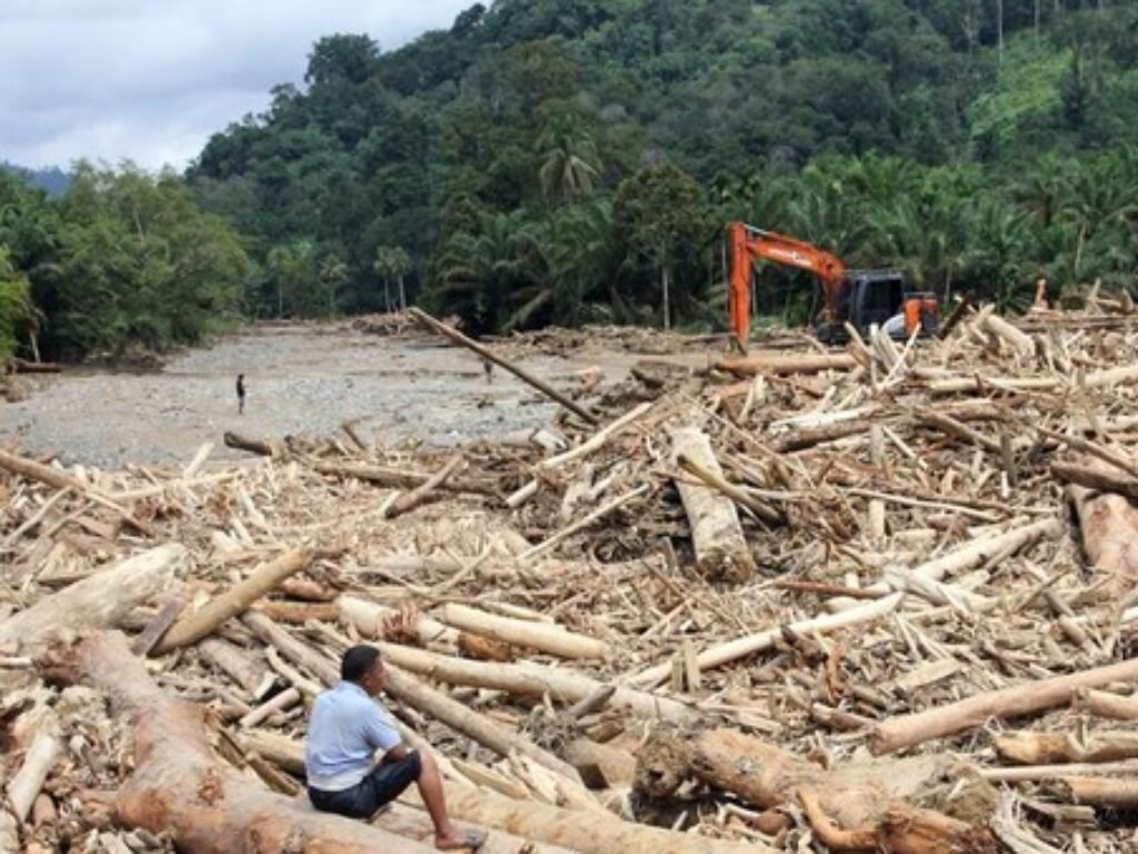 Kasus Kayu Gelondongan, Sungai Jadi Kurir, Chainsaw Jadi Tersangka