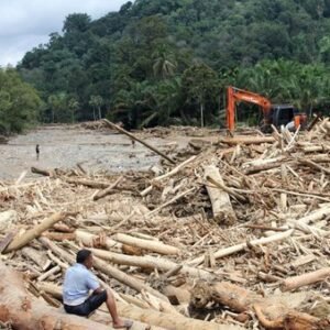 Sampah Kayu banjir bandang Sumatra